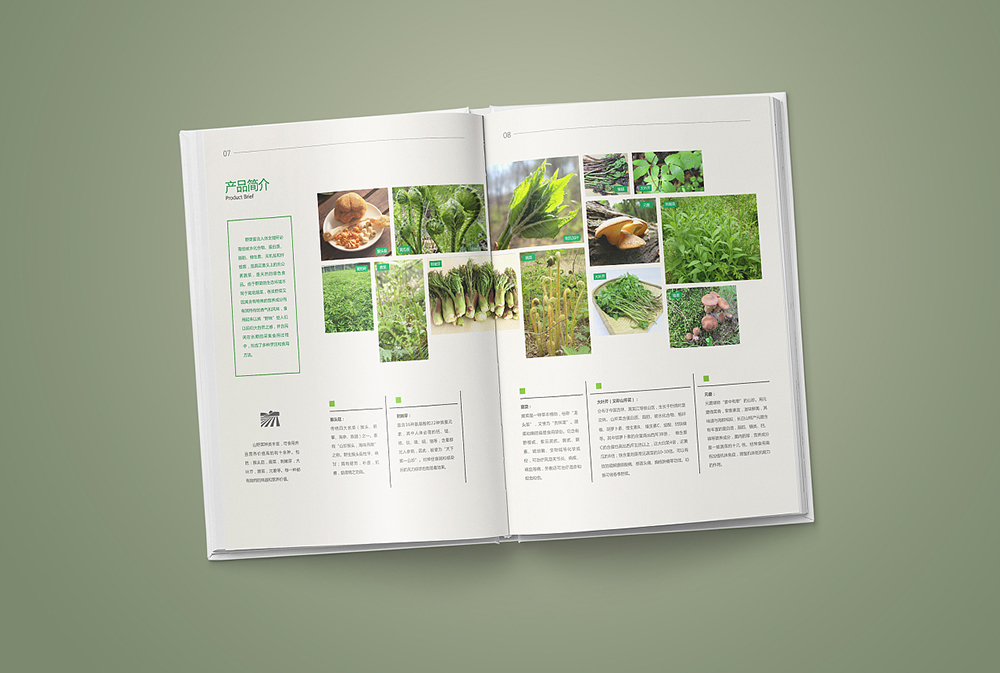 圓升農(nóng)業(yè)科技4.jpg 圓升農(nóng)業(yè)科技4.jpg